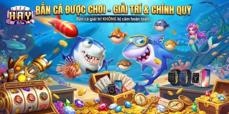 Bắn Cá Có Bị Cấm Không? Giải Đáp Thắc Mắc Cùng Haywin