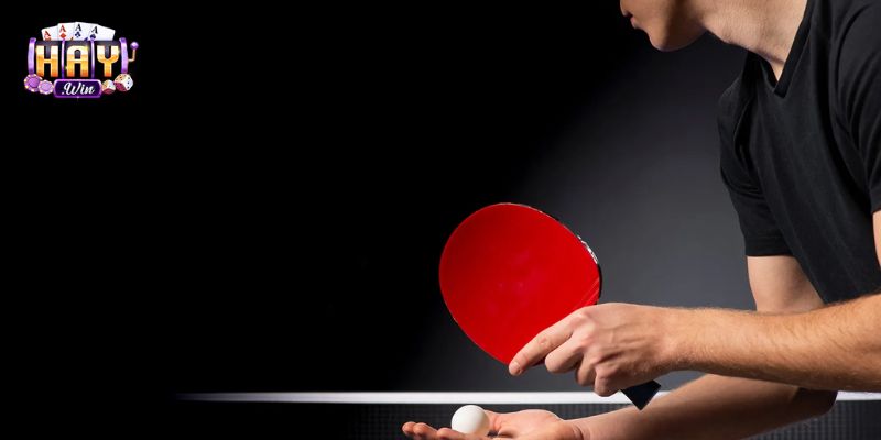 Biểu đồ phân tích phong độ của bóng bàn Haywin
