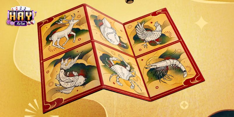 Haywin cung cấp đa dạng các tính năng bổ trợ quan trọng